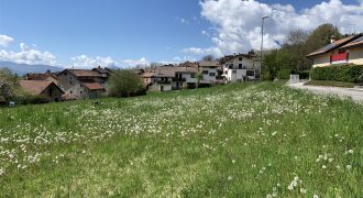 Terreno Belluno