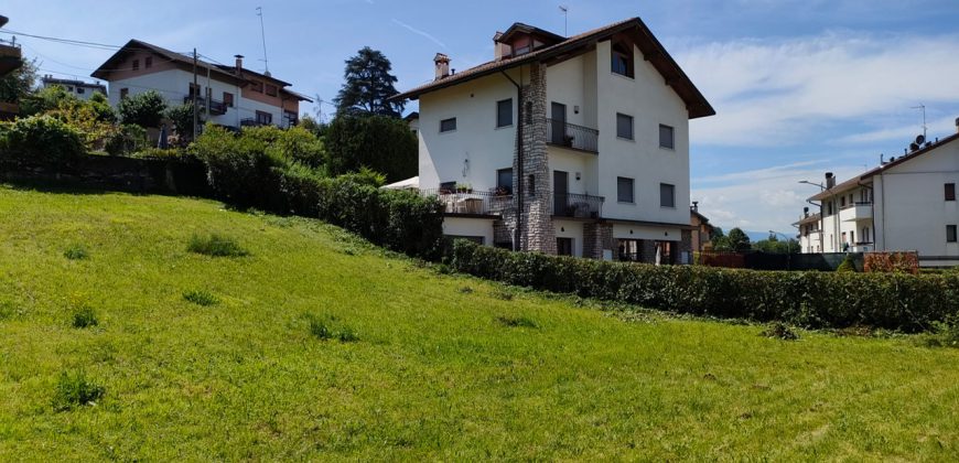 Terreno Belluno