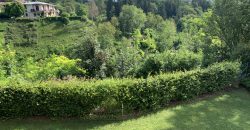 Capannone Belluno