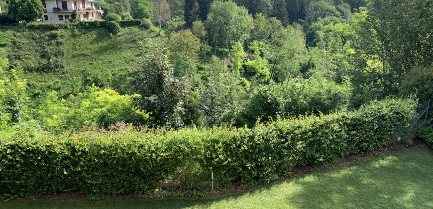 Capannone Belluno