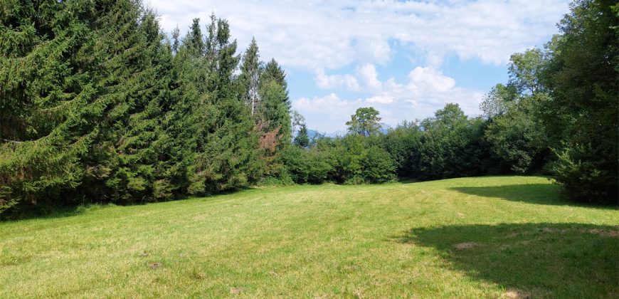 Terreno Limana