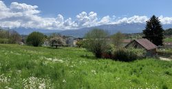 Terreno Belluno