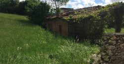 Terreno Sospirolo