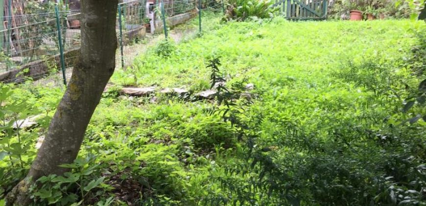 Schiera centrale Alpago