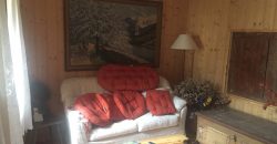 Schiera centrale Alpago