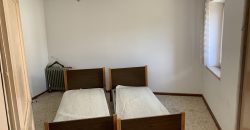 Schiera centrale Alpago