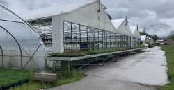 Giardinaggio-Piante-Fiori Alpago