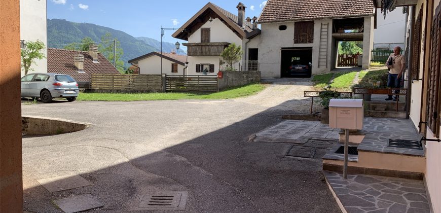 Schiera centrale Alpago