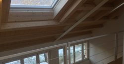 Unifamiliare Casa singola Belluno