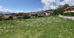 Terreno Belluno