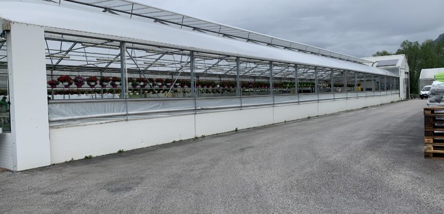 Giardinaggio-Piante-Fiori Alpago