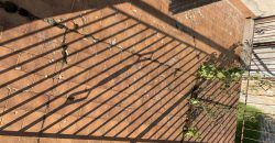 Schiera di testa Alpago