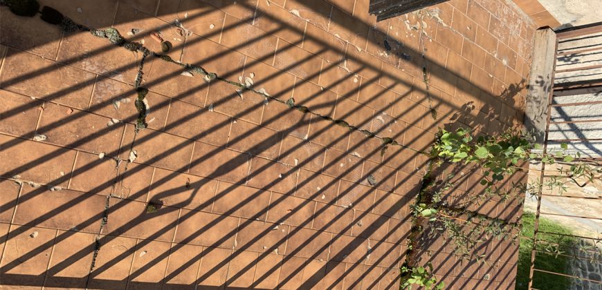 Schiera di testa Alpago