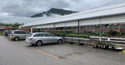 Giardinaggio-Piante-Fiori Alpago