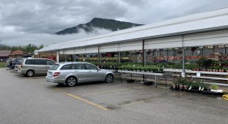 Giardinaggio-Piante-Fiori Alpago