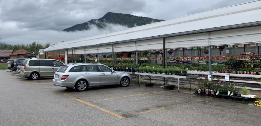 Giardinaggio-Piante-Fiori Alpago