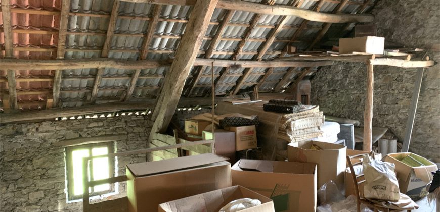 Schiera centrale Alpago