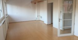 Unifamiliare Casa singola Belluno