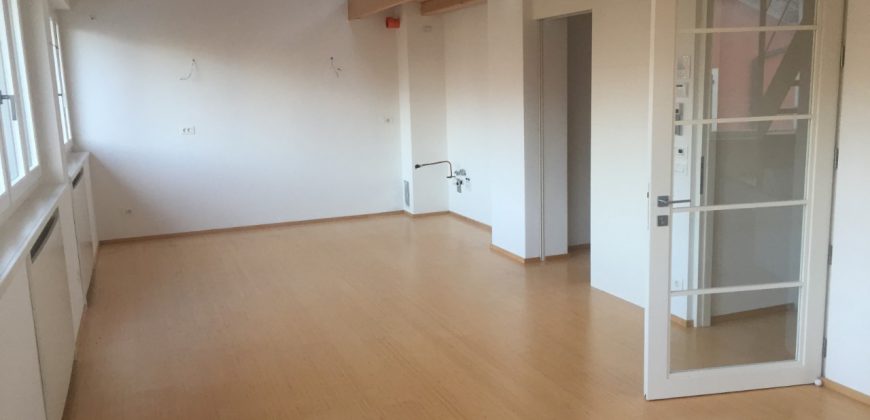 Unifamiliare Casa singola Belluno