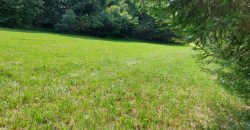 Terreno Limana Terreno Limana