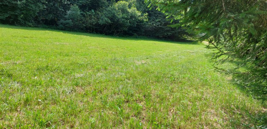 Terreno Limana Terreno Limana