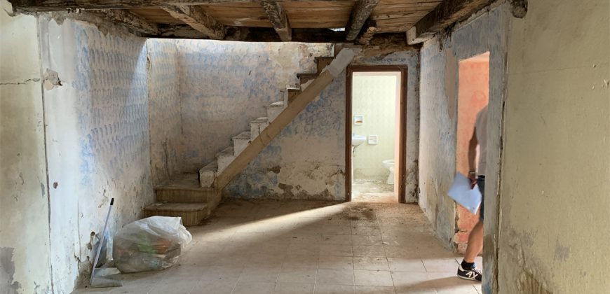 Schiera di testa Alpago Schiera di testa Alpago