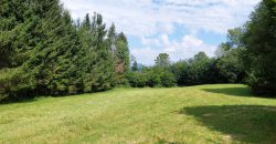 Terreno Limana Terreno Limana