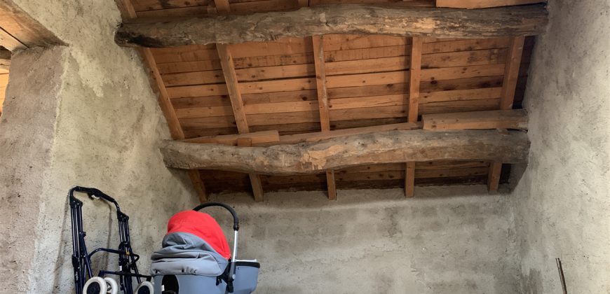 Schiera di testa Alpago Schiera di testa Alpago