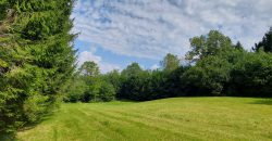 Terreno Limana Terreno Limana