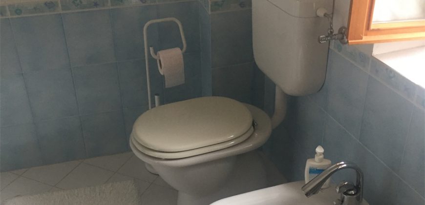 Schiera centrale Alpago Schiera centrale Alpago