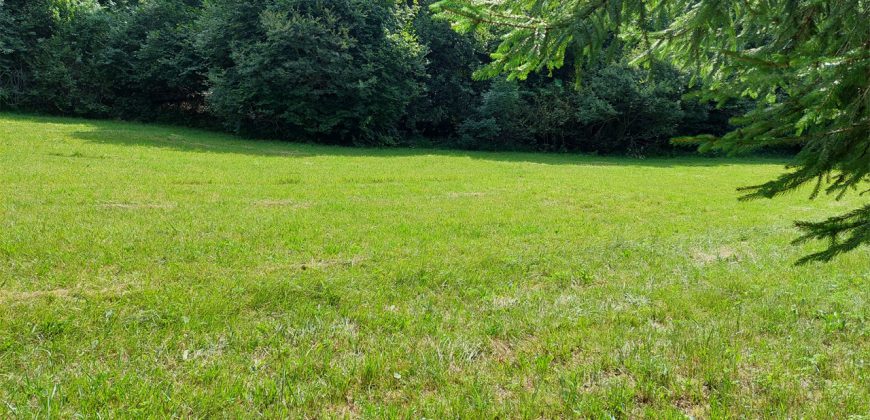 Terreno Limana Terreno Limana