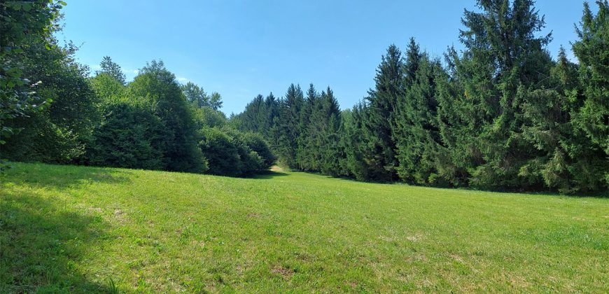 Terreno Limana Terreno Limana