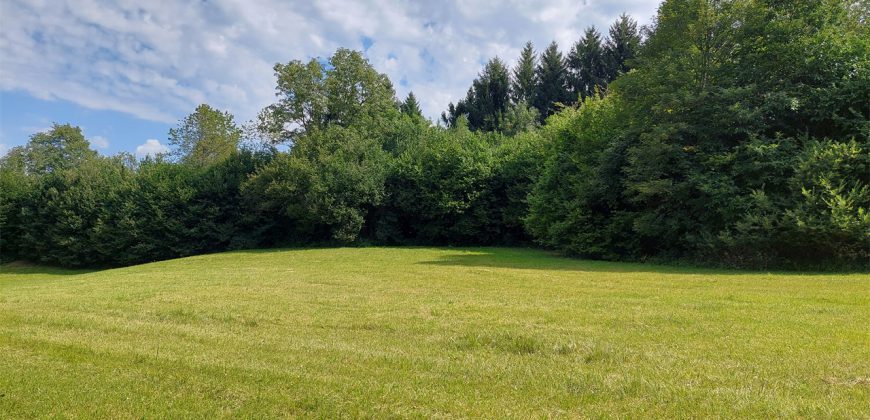 Terreno Limana Terreno Limana