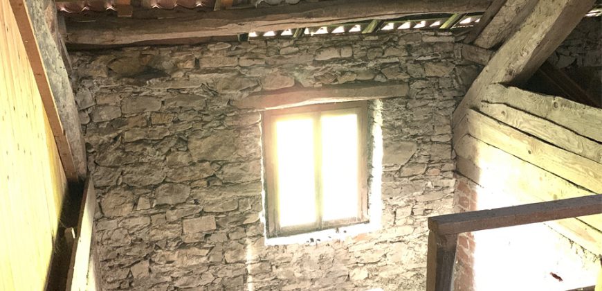 Schiera centrale Alpago