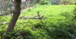 Schiera centrale Alpago