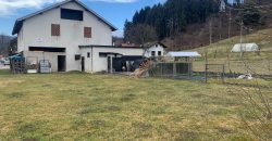 Rustico-Casolare-Cascina Alpago