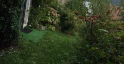 Schiera centrale Alpago