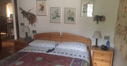 Schiera centrale Alpago