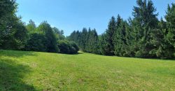 Terreno Limana Terreno Limana