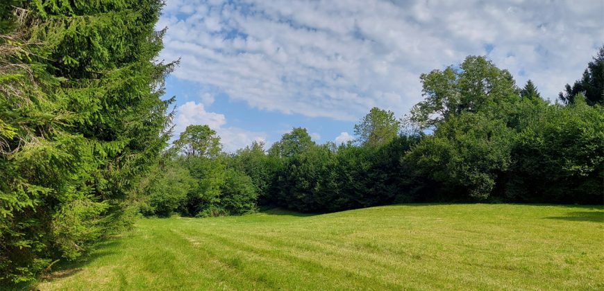 Terreno Limana Terreno Limana