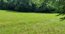 Terreno Limana Terreno Limana