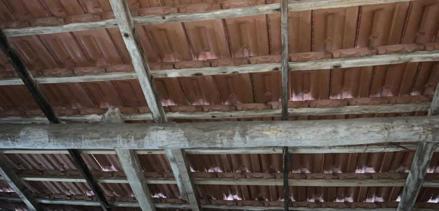 Unifamiliare Casa singola Belluno Unifamiliare Casa singola Belluno