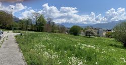 Terreno Belluno Terreno Belluno