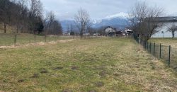 Terreno Alpago