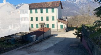 Schiera di testa Belluno Schiera di testa Belluno