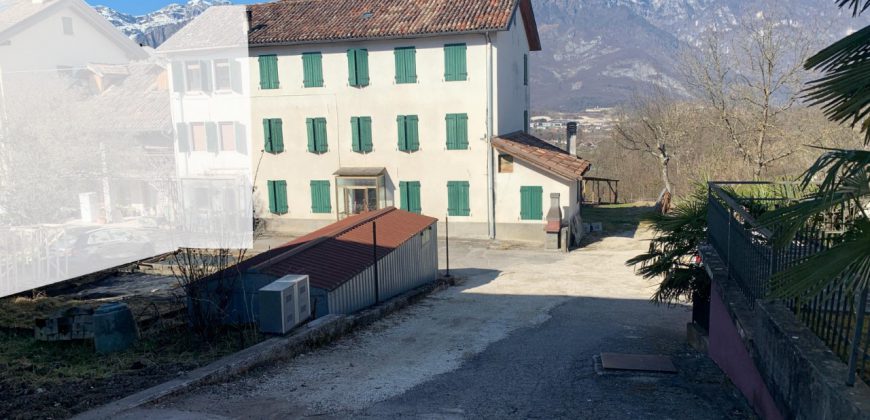 Schiera di testa Belluno
